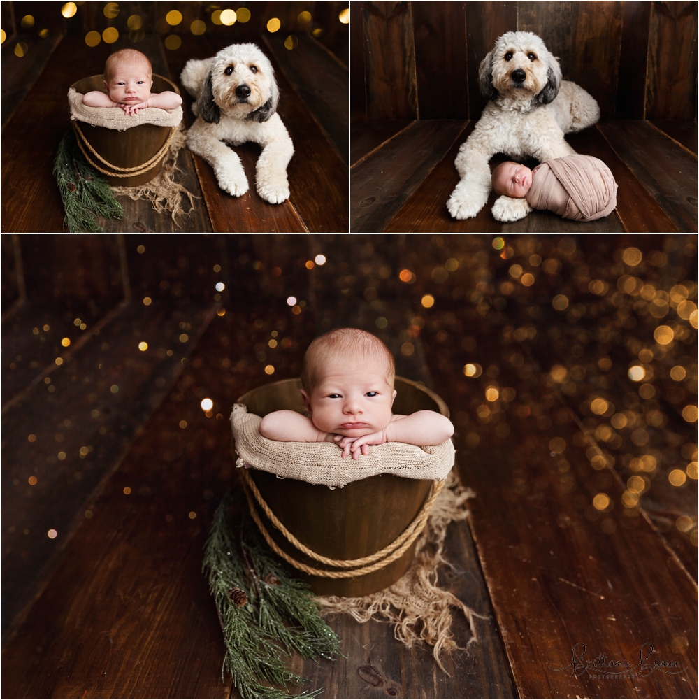 A heartwarming newborn and dog portrait, safely created through Photoshop for baby’s protection.